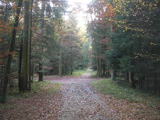 Prima  dell�era  glaciale